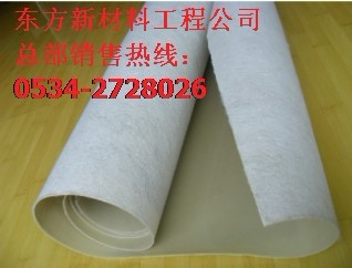 土工膜、复合土工膜、HDPE土工膜厂家、{zd1}土工膜价格。【东方新材料工程公司】