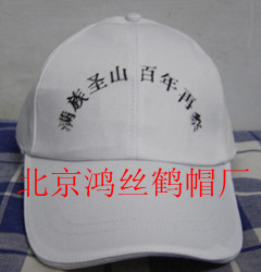 望京gd西服定做|定制西服|鴻絲鶴服裝廠北京市