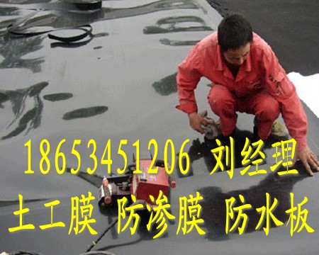 【鯽魚養(yǎng)殖土工膜價格 鯽魚養(yǎng)殖土工膜廠家】