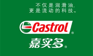 郫縣BP液壓油，供應金堂BP齒輪油，新都嘉實多導熱油，潤滑脂