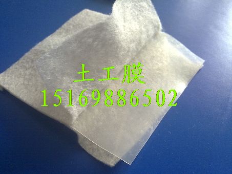 供應廣西重慶兩布一膜復合土工膜施工方案15169886502