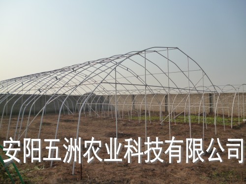 大棚骨架價(jià)格 專業(yè)大棚骨架建造商 平菇大棚骨架