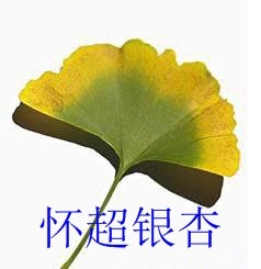 【2011年山東銀杏樹價格.2011年江蘇銀杏樹價格】