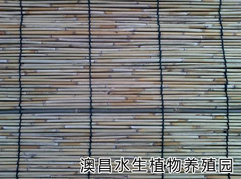 白洋淀特產(chǎn)供應(yīng)價格|求白洋淀特產(chǎn)種植技術(shù)|白洋淀特產(chǎn)都能有哪些用途