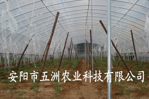 復(fù)合材料花卉大棚 鋼管鍍塑花卉大棚 注塑大棚價(jià)格