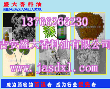 廠家供應天竺葵精油、天竺葵油