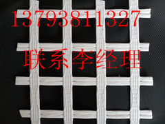 供應黑龍江，雞西煤礦用抗阻燃，抗靜電雙抗網錨網，塑料網假頂
