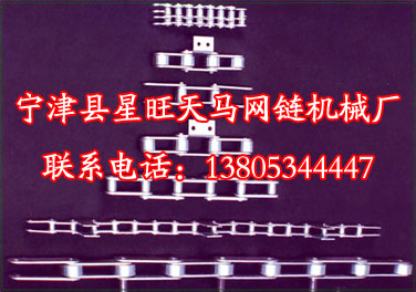 優質的冷凍輸送網鏈，冷凍輸送網鏈經銷商星旺種類齊全