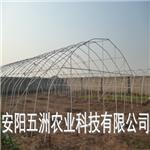 钢架温室大棚 钢管蔬菜大棚 钢管无支柱大棚