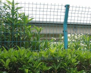 安平中泰雙邊絲護欄網