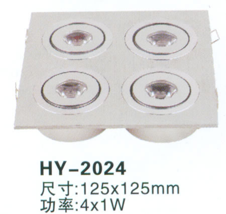 HY-3016軟管射燈