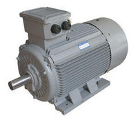 供應(yīng)三相異步電動機(jī) 電機(jī) 威特電機(jī)原始圖片2
