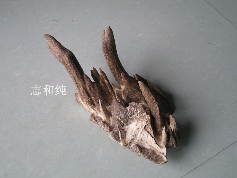 擺設沉香02
