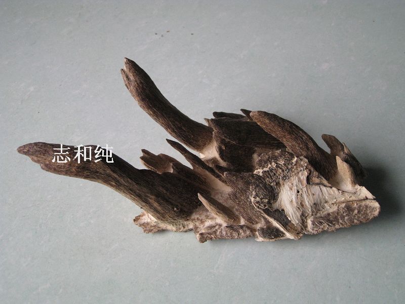 擺設沉香02原始圖片3