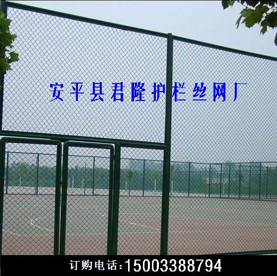 體育圍網(wǎng)-場地圍網(wǎng)、體育場圍網(wǎng)、球場圍網(wǎng)、籃球場圍網(wǎng)廠家 原始圖片2