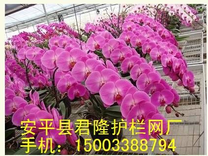 體育圍網(wǎng)-場地圍網(wǎng)、體育場圍網(wǎng)、球場圍網(wǎng)、籃球場圍網(wǎng)廠家 