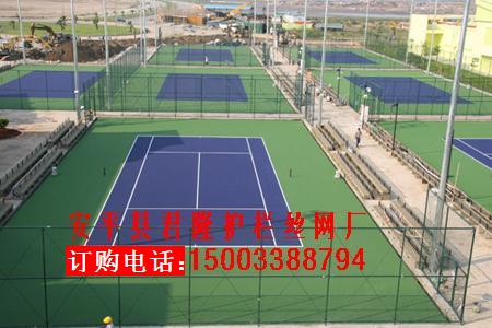 體育場圍網(wǎng)，運動場防護網(wǎng)，游樂設(shè)施護欄，學(xué)校操場防護欄