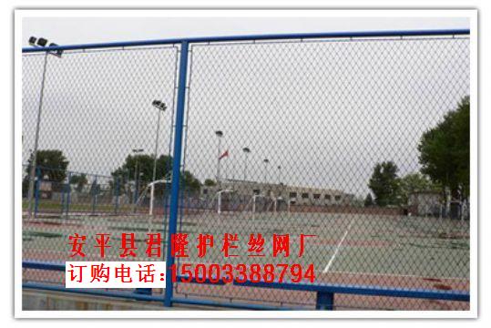 體育圍網-場地圍網、體育場圍網、球場圍網、籃球場圍網廠家 原始圖片2