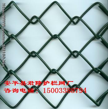 勾花網(wǎng)-包塑勾花網(wǎng),鍍鋅勾花網(wǎng),鐵絲勾花網(wǎng)-君隆勾花護欄網(wǎng)廠 