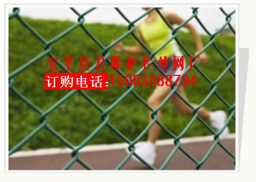 勾花網(wǎng)|包塑勾花網(wǎng)|鍍鋅勾花網(wǎng)|不銹鋼勾花網(wǎng)|勾花網(wǎng)廠 