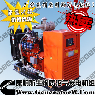 200KW沼氣發電機組,500KW沼氣發電機組原始圖片2