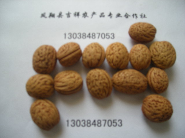 工藝品原材料-----野生山桃核