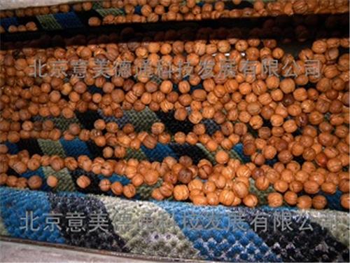 2000XHT核桃清洗机现场演示——（毛刷式核桃清洗机）