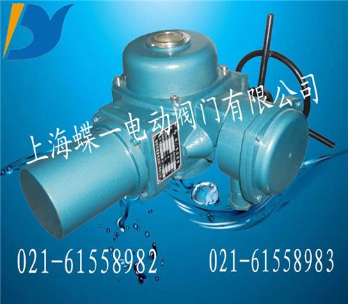 DQW电动装置，部分回转电动执行机构，Q型电动执行机构