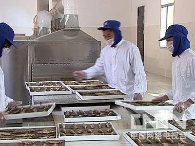 微波烘干食品設(shè)備原始圖片2