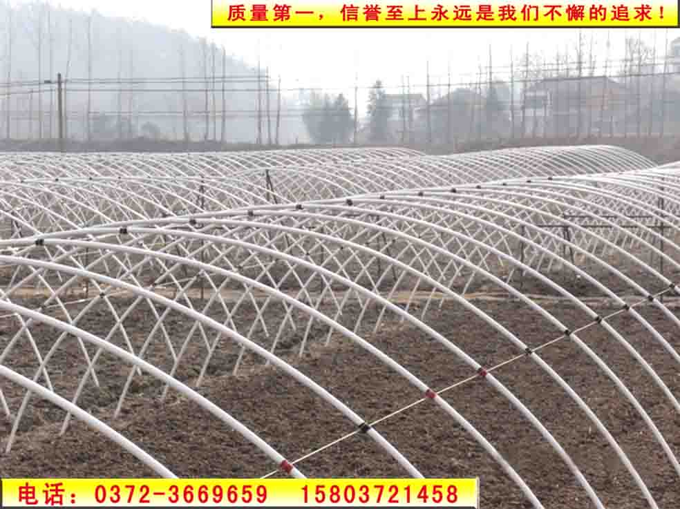 大棚-安陽大棚-河南大棚-澳源節能大棚骨架質量頂呱呱