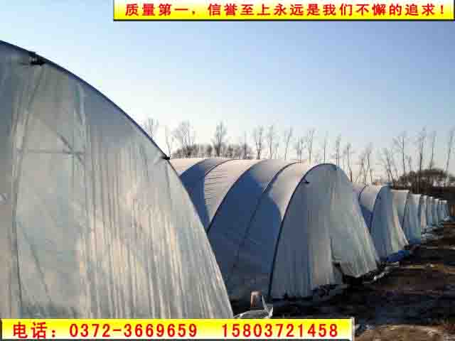 專業(yè)養(yǎng)殖家禽大棚 特色養(yǎng)殖大棚專賣 安陽澳源節(jié)能新突破