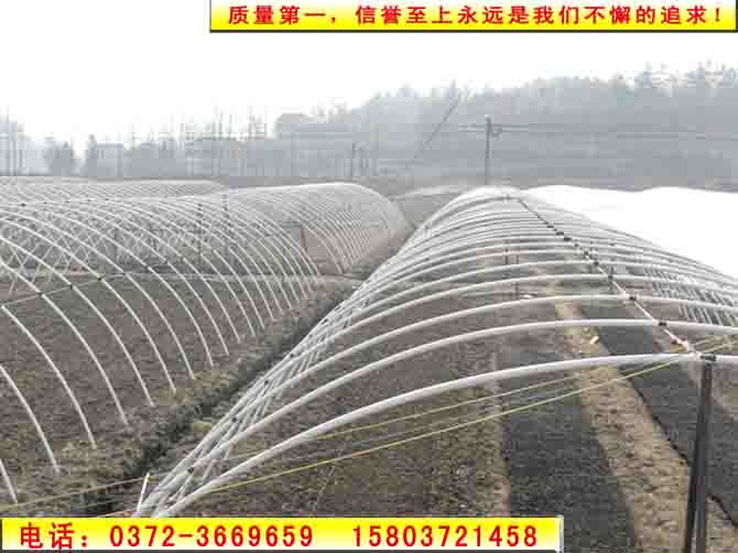 養殖大棚 安陽養殖大棚 節能大棚 澳源節能科技新突破