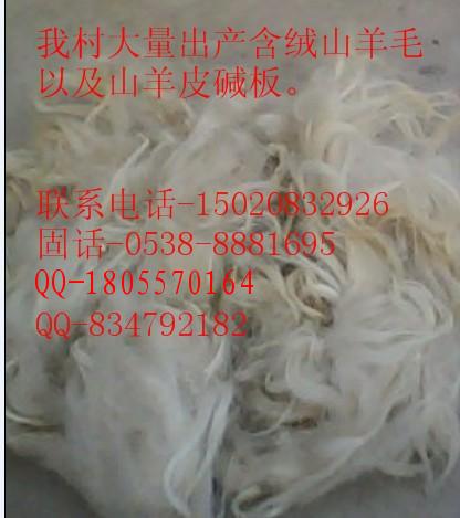 山羊絨皮灰退絨毛-梳絨原料-灰褪毛-含絨山羊毛、帶絨山羊毛、含絨山羊毛
