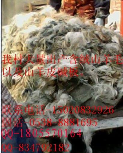 山羊絨皮灰退絨毛-梳絨原料-灰褪毛-含絨山羊毛、帶絨山羊毛、含絨山羊毛