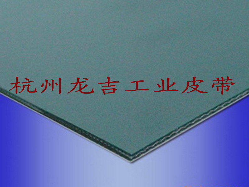 溫州瑞安樂清永嘉平陽食品輸送帶/全自動包子餅干月餅機械輸送帶/耐油面團不粘輸送帶