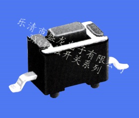 輕觸開(kāi)關(guān)3X6系列