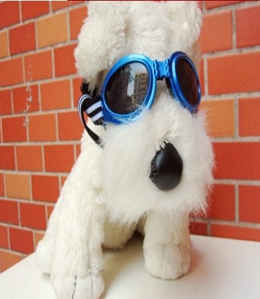 Dog eyewear 狗眼鏡 動物防護眼鏡 寵物鏡 寵物護目鏡