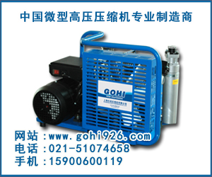 供應樂高LYX100型CS彩彈射擊高壓空氣壓縮機原始圖片2