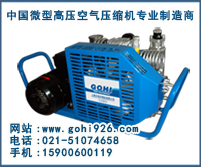 供應(yīng)樂(lè)高LYW100小型消防呼吸高壓空氣壓縮機(jī)原始圖片2