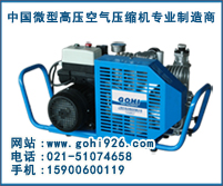 供應(yīng)樂(lè)高LYW100小型消防呼吸高壓空氣壓縮機(jī)原始圖片3