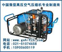 供應(yīng)樂(lè)高LYW100小型消防呼吸高壓空氣壓縮機(jī)