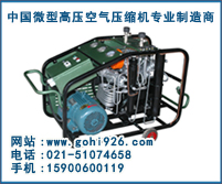 供應(yīng)樂高 LYW200CD/300CD型 消防呼吸高壓空氣壓縮機(jī)原始圖片3