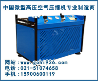 供應(yīng)樂高 LYW200CD/300CD型 消防呼吸高壓空氣壓縮機(jī)