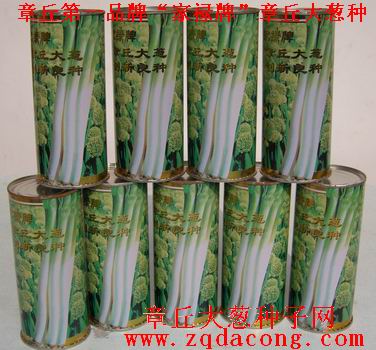 zg 章丘大蔥種子 {dy} 告知 新品種“家祿牌”大蔥種子原始圖片2