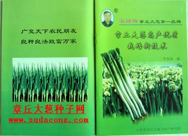 zg 章丘大蔥種子 {dy} 告知 新品種“家祿牌”大蔥種子原始圖片3