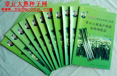 章丘大蔥種 章丘大蔥栽培新技術 章丘大蔥種子網(wǎng) {dy}品牌 家祿牌章丘大蔥種原始圖片3