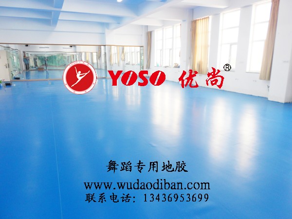  舞蹈地膠廠家-——舞蹈地板膠的價格