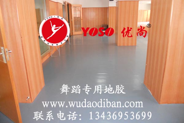 舞蹈地膠圖片、舞蹈地板圖片、舞蹈地板膠圖片、舞蹈地膠板圖片
