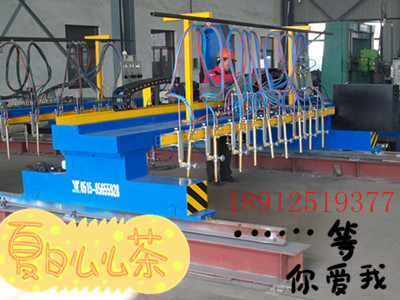 無錫H型鋼焊接鋼結(jié)構(gòu)生產(chǎn)線設(shè)備之H型鋼切割機