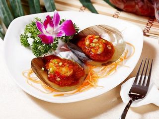 鄭州到三亞旅游，鄭州到三亞旅游團(tuán)